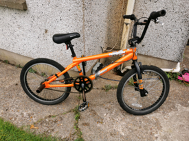 mongoose subject 2011